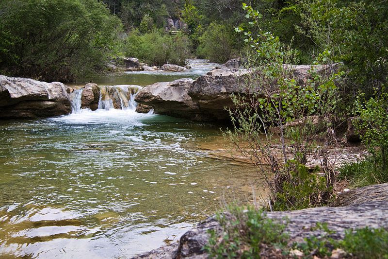 Riera de Merlès